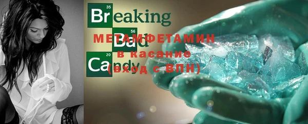 прущие грибы Туринск