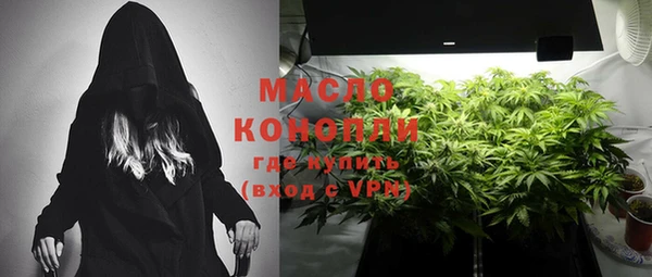 прущие грибы Туринск