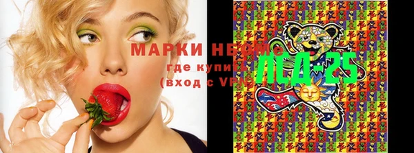 прущие грибы Туринск