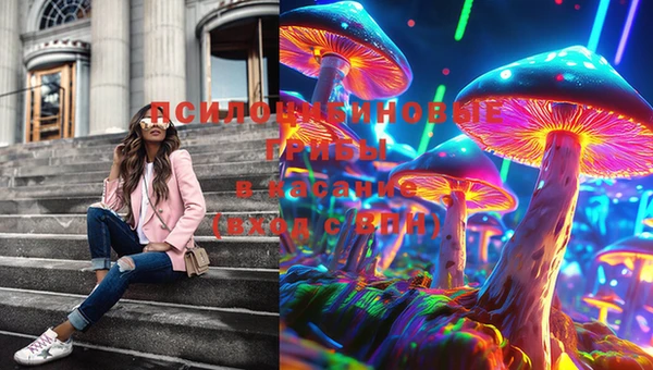 прущие грибы Туринск